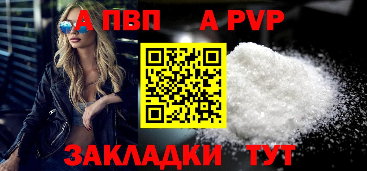 Alfa_PVP СК Калининград