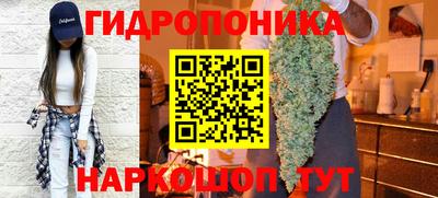apvp Лесосибирск