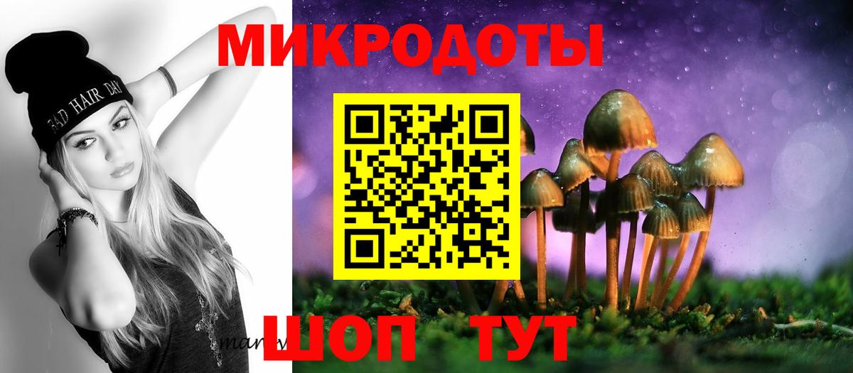 Галлюциногенные грибы мицелий Калининград