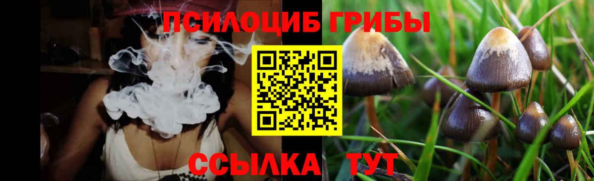 Калининград  Псилоцибиновые грибы Psilocybe  как найти закладки  Вход с VPN 
